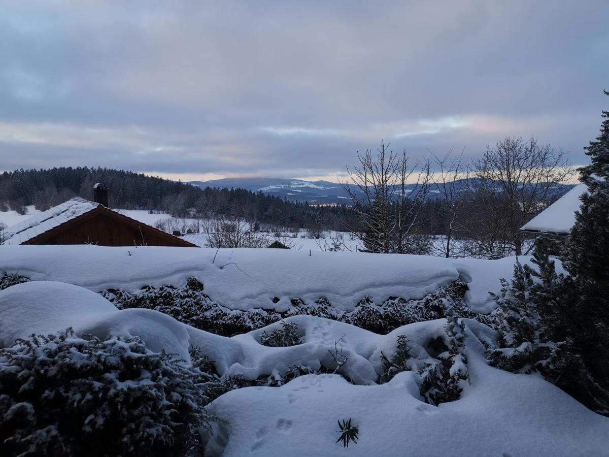 Ferienwohnungen Haus Daxberg Idyllisch gelegen im Bayerischen Wald Eppenschlag Exterior foto