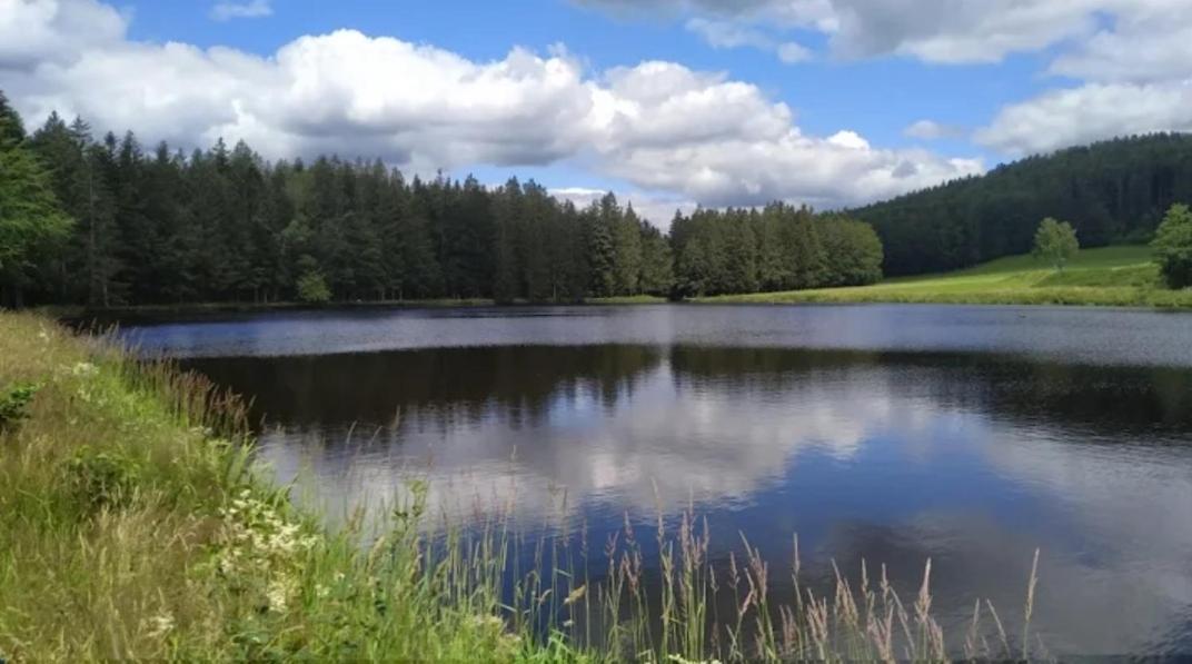 Ferienwohnungen Haus Daxberg Idyllisch gelegen im Bayerischen Wald Eppenschlag Exterior foto