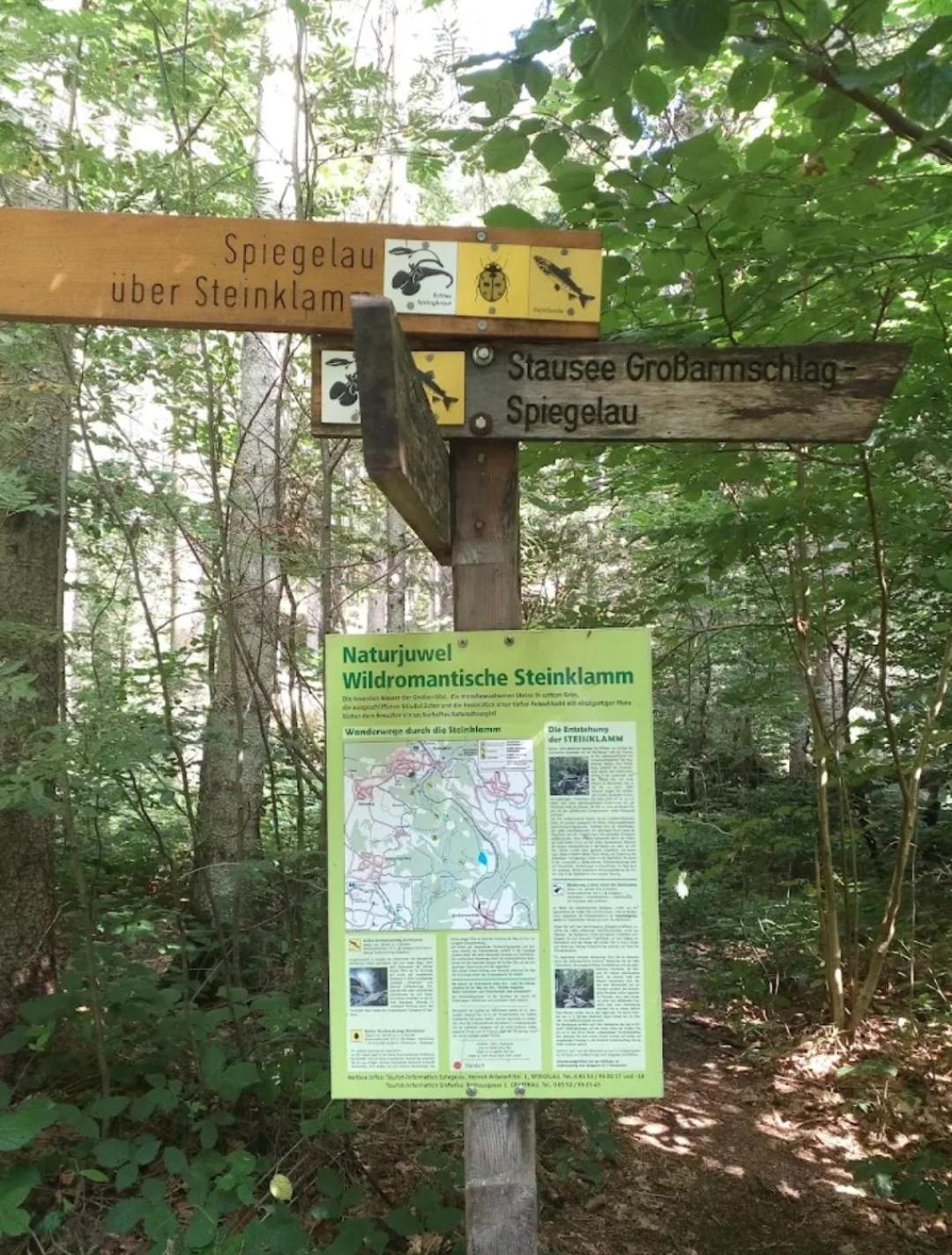 Ferienwohnungen Haus Daxberg Idyllisch gelegen im Bayerischen Wald Eppenschlag Zimmer foto